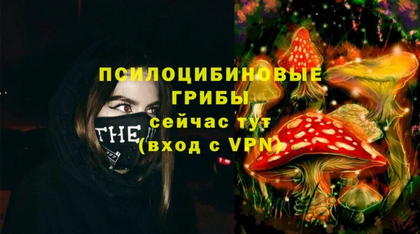 прущие крисы Горно-Алтайск